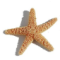 Beach Real Estate Digital Creator
· 𝗨𝗻𝗹𝗲𝗮𝘀𝗵 the Power of Social Media
· 𝗦𝘆𝗻𝗱𝗶𝗰𝗮𝘁𝗲 Your Property
· Support Wildlife Conservation
.