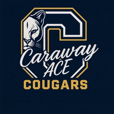 Caraway ACE Elementary Profile