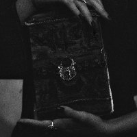 N. Swartz is querying 🖤 (@n_swartzwrites) 's Twitter Profile