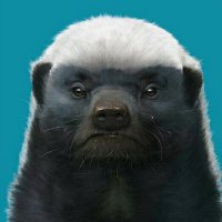 非洲平头哥 (@fun_okb) 's Twitter Profile