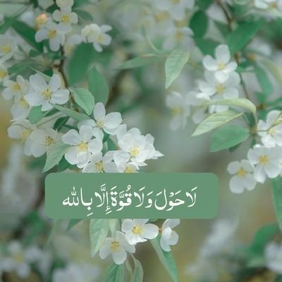 NanaAASelbe's profile picture. 