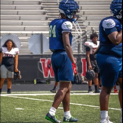 Will Liddell Profile