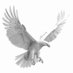 White Eagle 2027 (@whiteeagle2027) Twitter profile photo White Eagle 2027 (@whiteeagle2027) Twitter profile photo