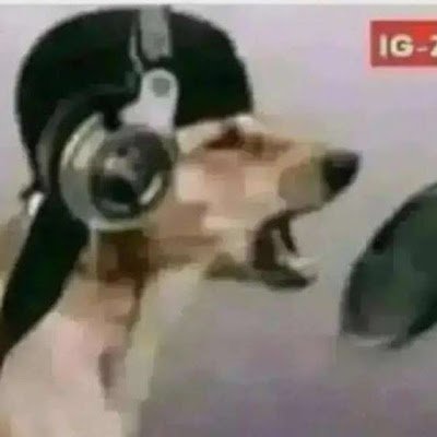 s_wift11's profile picture. hi guys!
13
roblock shirt maker
shoot me a dm if u wanna be friends : D