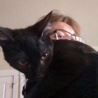 jade (@jaddee_exe) 's Twitter Profile