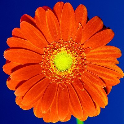 shdwly_murmur's profile picture. 🪻🌺𝟐𝟎+| 𝐚𝐠𝐞𝐧𝐝𝐞𝐫|𝐢 𝐥𝐢𝐤𝐞 𝐭𝐨 𝐭𝐚𝐥𝐤 𝐚 𝐥𝐨𝐭
🪻🌺𝐚𝐫𝐭 𝐚𝐜𝐜𝐨𝐮𝐧𝐭 @srndpty_eulogy