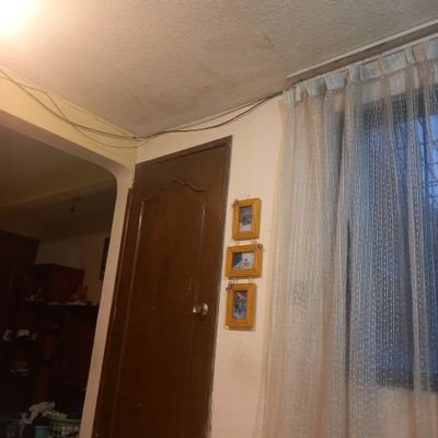 OfeFelina's profile picture. 
