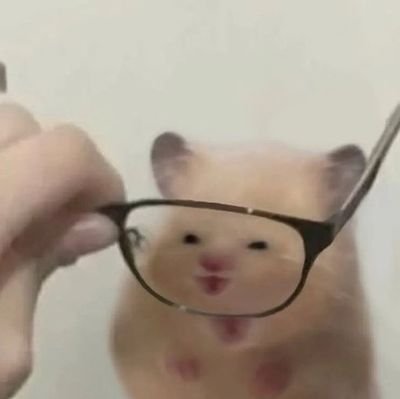 Mayonessaさんのプロフィール画像