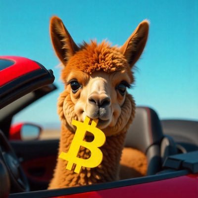 AlpacaCto's profile picture. The Bitcoin Mascot that helped bring recognition to Cryptocurrency.  0xf513c66464b1320e8748e3a71cdeb65f51588bcb