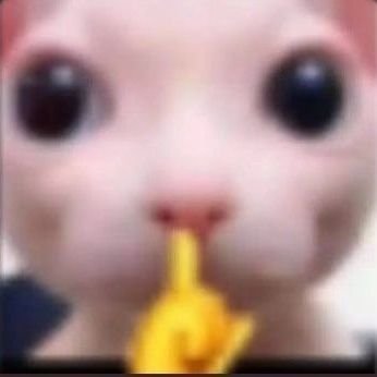 PancitodeCajeta's profile picture. 𝑵𝒐 𝒋𝒖𝒛𝒈𝒖𝒆𝒔, 𝒔𝒐𝒍𝒐 𝒎𝒊𝒓𝒂