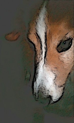 davename's profile picture. Dude/Consumer/Runner