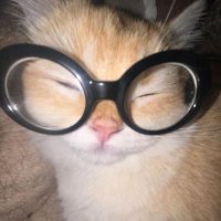 lucita :3 (@lucihtml) 's Twitter Profile Photo lucita :3 (@lucihtml) 's Twitter Profile Photo