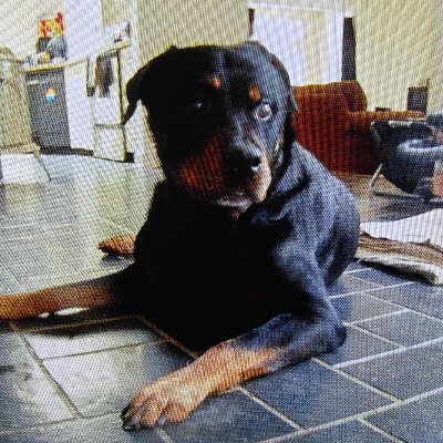 pmpgunslinger's profile picture. American Patriot