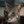Catturd_PM (@Catturd_PM) profile picture