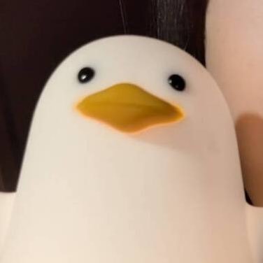 konnichiha__12's profile picture. 乃木坂→筒井あやめ、森平麗心/櫻坂→遠藤理子、谷口愛李、山下瞳月🌸