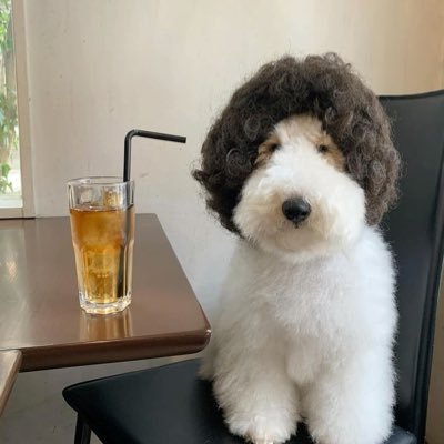 Natman20_'s profile picture. Hi