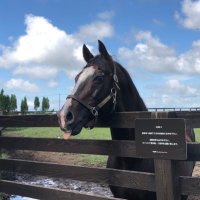 あべちゃん (@abechanno10) 's Twitter Profile Photo