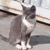 Pilot Cat 🛩️🇧🇷🇩🇪🇮🇱🇺🇦🇺🇸 (@kunert_fighter) Twitter profile photo Pilot Cat 🛩️🇧🇷🇩🇪🇮🇱🇺🇦🇺🇸 (@kunert_fighter) Twitter profile photo
