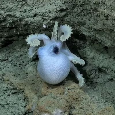 franco_rom_bo's profile picture. nadie