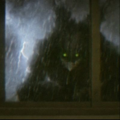 JamesPotte9174's profile picture. 