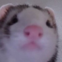 パティシエの息子 (@eedlllbee) 's Twitter Profile