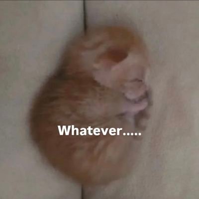 MarianGRS1's profile picture. 