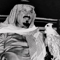 ابو حنش (@iii2lk) 's Twitter Profile Photo