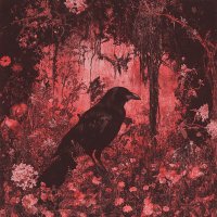aesop, your edtwt ally (@hematocorvid) 's Twitter Profile