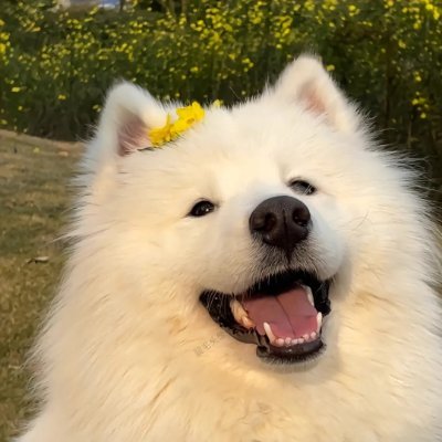 God 1st❤️
MAGA 🇺🇸 💯
Acceptance of humor is paramount 😊
Happy, joyous and free 😍
Let's connect 🤝
I don't send unsolicited DM's