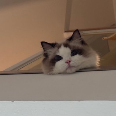 onyjdhj's profile picture. 一歩一歩が世界の探求であり、旅行は私の魂をもっと自由にしてくれる💫🌍