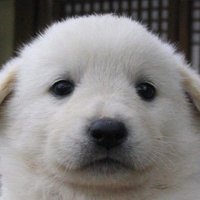 쌀 (@ssarrrrri) 's Twitter Profile