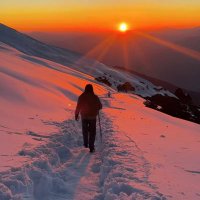 anirudh goyal (@anirudh__goyal5) 's Twitter Profile