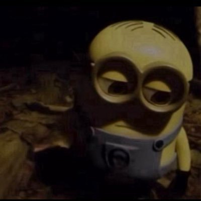 Armando54297929's profile picture. (831). I'm 20 years old, straight