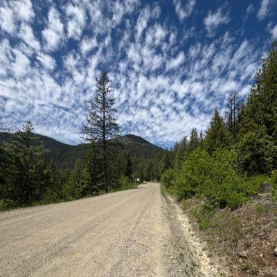 Mountain_eagle1's profile picture. 