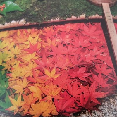 VKFmksf5QP4003's profile picture. 