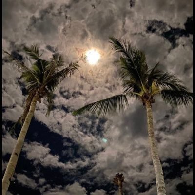 Emad_0099's profile picture. #Pharmacist #Pharmacology ❤️ #Cryptocurrency