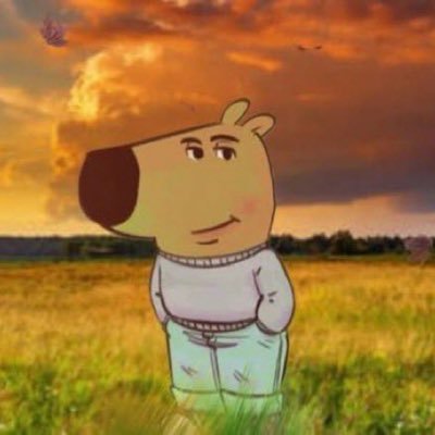 karabaye251's profile picture. 