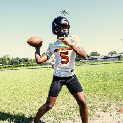 RICHARD ROUNDTREE JR 2028 QB⭐️ Profile