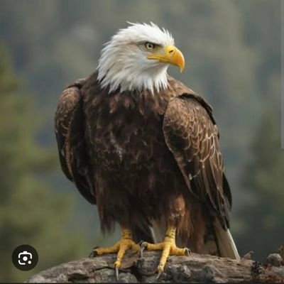 155Police's profile picture. Hak aramak, insan olmanın gereğidir; haksızlığa karşı durmak, onurlu bir davranıştır.