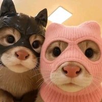 epigmenio ibarra (@epigmenioi74716) 's Twitter Profile