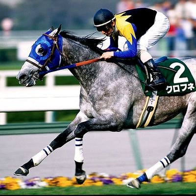 suigyoza41's profile picture. 日々まったり過ごしています。