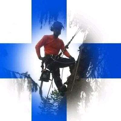 mika_48v's profile picture. arborist🌳🏗️🪵