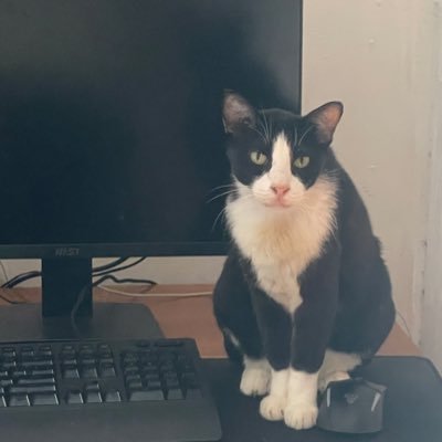 _imsp6's profile picture. 