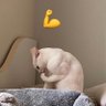 WEILITING1's profile picture. PondPhuwin I Always in Love❤️