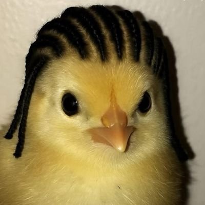 pharmacistyat's profile picture. she/they
FEMINIST
PHARMACIST
Twitter is for fun