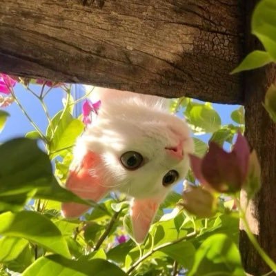 Dakotamgmt's profile picture. Contact dakotawya@gmail.com