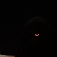 🫡 Markell (@deadboydee) 's Twitter Profile