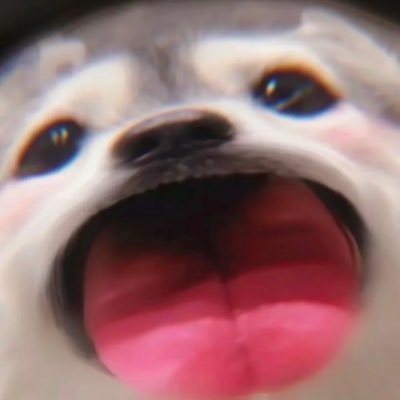 ZhouPacowen's profile picture. Computer Vision Researcher in Huawei