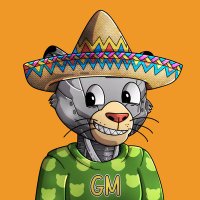 probably nothing (@abdurrahma11924) 's Twitter Profile Photo