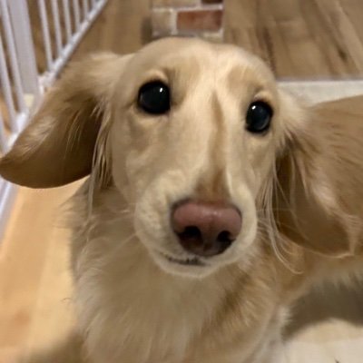 Phg57fs's profile picture. 